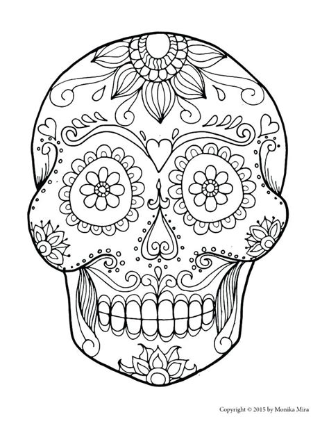 skull anatomy coloring pages  getdrawings