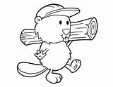 Beaver Coloring Pages Busy Cute Kids sketch template