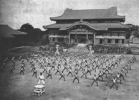 okinawan martial arts wikipedia