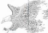 Animorphia Colouring Challenge Grabone Nz Book Extreme Schetsen Birds sketch template