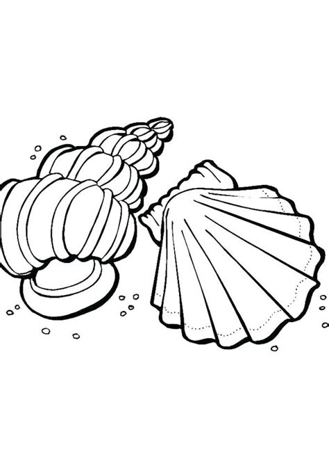 coloring pages beach shells coloring page