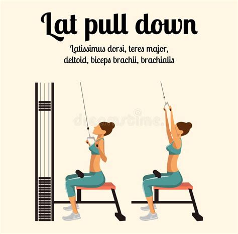 gym exercise lat pull  vector illustration stock vector