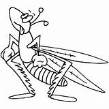 Grasshopper Saltamontes Insects Preschoolcrafts sketch template