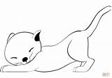Coloring Stretching Pages Kitty sketch template