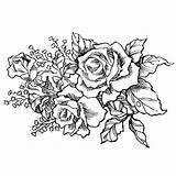 Bunch Roses Drawing Rose Bouquet Flower Drawings Stamps Digi Paintingvalley sketch template