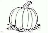 Pumpkin Coloring Pages Printable Fall Color Enhanced Harvest Print Season sketch template