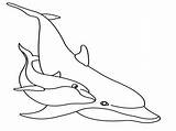 Printable Dolphin Coloring Pages Kids Print sketch template