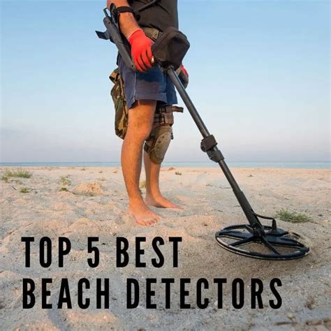 top   metal detectors   beach mental metal detecting