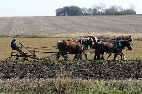 plowing  flickr photo sharing