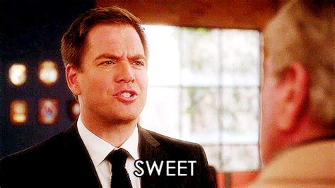 feel    apologize tony dinozzo gif find share  giphy