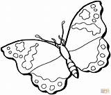 Farfalla Farfalle Schmetterling Admiral Malvorlage Stampare Supercoloring 1294 sketch template