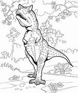 Carnotaurus Sovak sketch template
