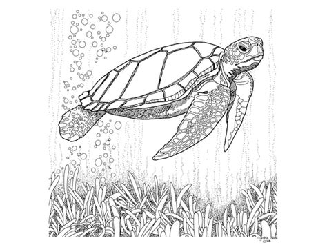 printable sea turtle art illustration coloring page craft etsy
