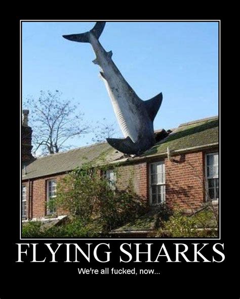 flying sharks picture ebaum s world