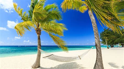 luxe cruise bahamas mexico kaaiman eilanden en jamaica obv volpension
