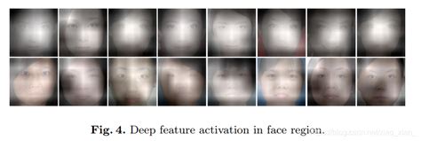 人脸颜值预测（facial beauty prediction）综述 颜值评估算法 csdn博客