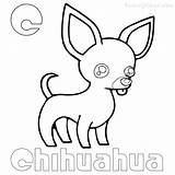 Chiwawa Chihuahua Getcolorings Coloringfolder sketch template
