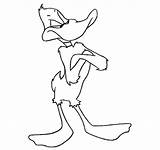 Daffy Bugs sketch template