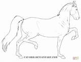 Horse Coloring Hackney Pages Drawing sketch template