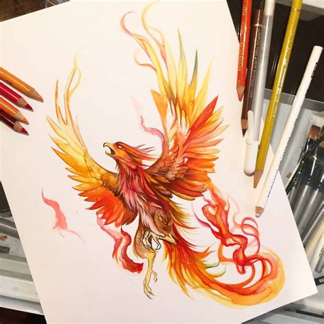 I Wanted To Something Fun For Drawing 200 200 Rise Of The Phoenix