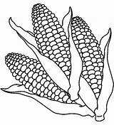 Corn Mais Coloringpagesfortoddlers Herbst Mewarnai Jagung Vegetable Dibujo Elote Maiz Mazorcas sketch template