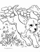 Puppy Coloring Pages Realistic Print sketch template
