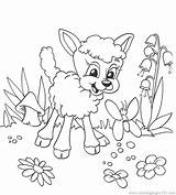 Lamb Coloring Lion Had Pages Mary Easter Little Fresh Getcolorings Getdrawings Popular Colorings sketch template