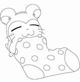 Hamster Coloring Pages Cute Hamsters Drawing Baby Cage Popular Cartoon Getdrawings Library Clipart sketch template