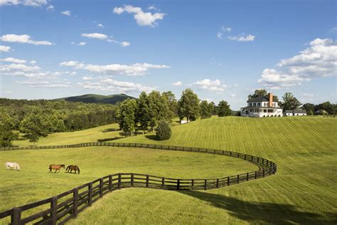 stroll   virginia horse country estate garden gun