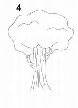 Drzewo Rysunek Narysować Drzewa Kasztanowca Obraz Przykładowy sketch template
