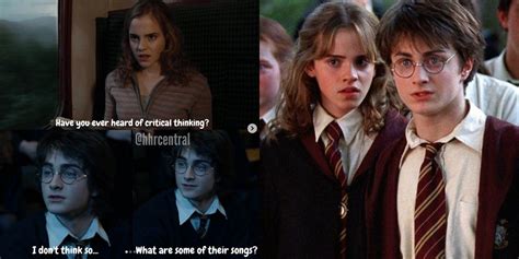 memes  perfectly sum  harry hermiones friendship united