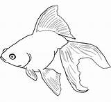 Fish Coloring Pages Kids Printable Print sketch template
