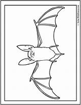 Coloring Halloween Pages Bat Printable Realistic Pdf Color Cat Spiders Sheet Colorwithfuzzy sketch template
