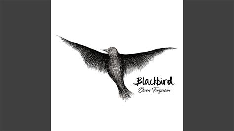 blackbird youtube