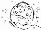 Hedgehog Bulkcolor Renate sketch template