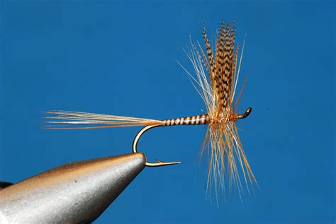 images  flies  fly fishing  pinterest fly tying fly