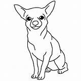 Chihuahua Coloring Dog Pages Sitting Drawing Posing Cute Netart Getdrawings Hond Puppy Kleurplaat Sombrero Nl Clipartmag Kleurplaten sketch template