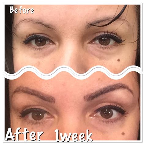 eyebrow tattoo  sofia    reviews