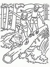Coloring Forest Pages Printable Kids Summer Popular sketch template