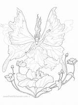 Coloring Fairy Pheemcfaddell sketch template