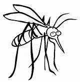 Mosquito Coloring Printable Pages Kids sketch template