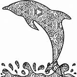 Dolphin Coloring Pages Adults Printable Adult Pdf sketch template