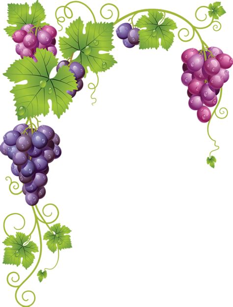 raisin png tube fruit vendanges grapes png uvas