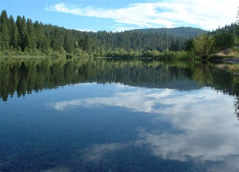 arnold ca white pines lake public lake in arnold photo picture