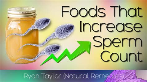 foods that increase sperm count youtube