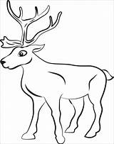 Reindeer Kolorowanki Renifery Renifer Raindeer Reindeers Deer Coloringbay Turtle Reniferami sketch template