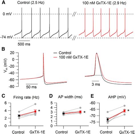 Differential Regulation Of Action Potential Shape And Burst Frequency