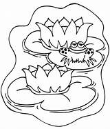 Coloring Lily Frog Pad Smile Sitting While Color sketch template
