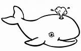 Coloring Whale Pages Drawing Baby Killer Outline Color Print Cartoon Kids Whales Blue Laughing Cliparts Clipart Play Getdrawings Designs Drawings sketch template
