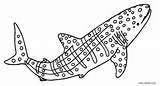 Whale Coloring Pages Shark Printable Kids Cool2bkids sketch template